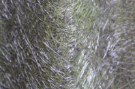 Winslow fibreglass roof work